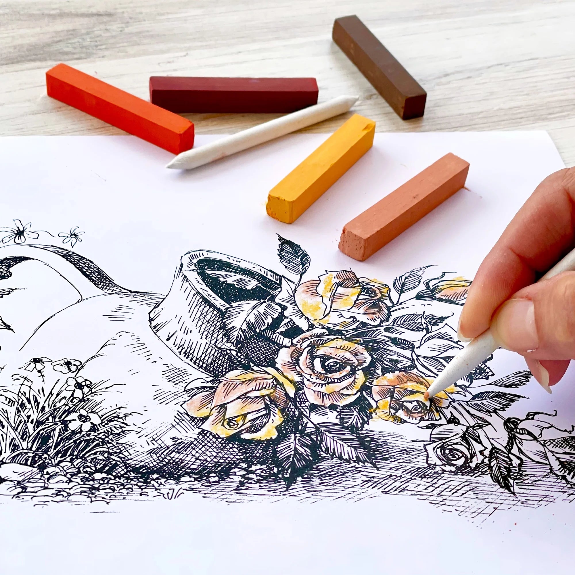 Charcoal Pencil Sketching and Drawing Set, 39 Piece Learn to Draw Art Kit for Kids, Teens, & Adults