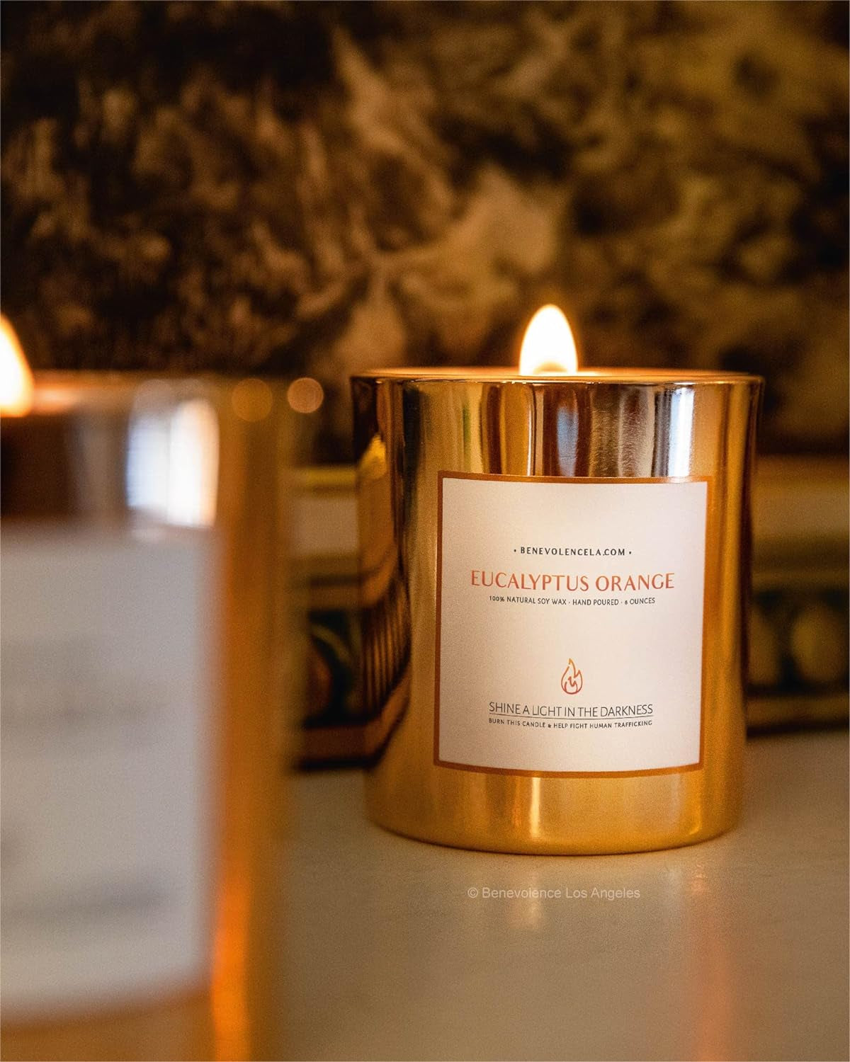 Eucalyptus Orange Wood Wick Candles | Soy Candles, Black Candle for Home | Gifts for Women and Men | Home Fragrance | Aromatherapy | Shelf Decor, Bathroom Freshener | 8Oz, 45 Hour Burn