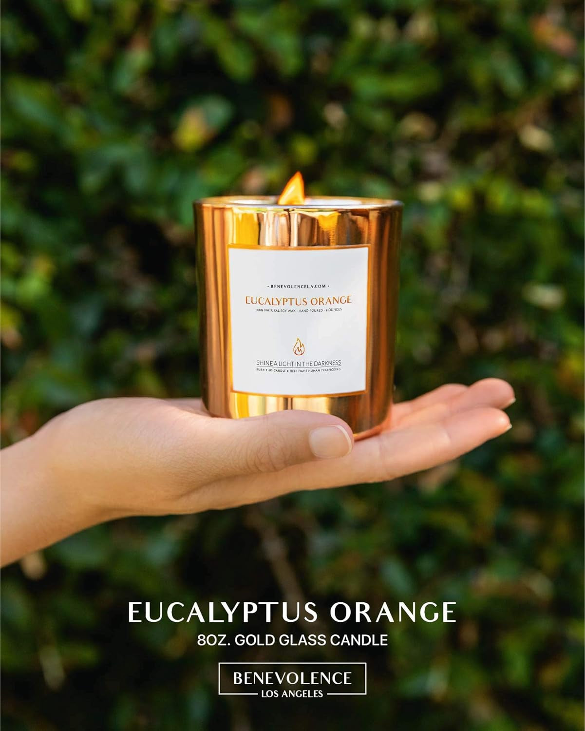 Eucalyptus Orange Wood Wick Candles | Soy Candles, Black Candle for Home | Gifts for Women and Men | Home Fragrance | Aromatherapy | Shelf Decor, Bathroom Freshener | 8Oz, 45 Hour Burn